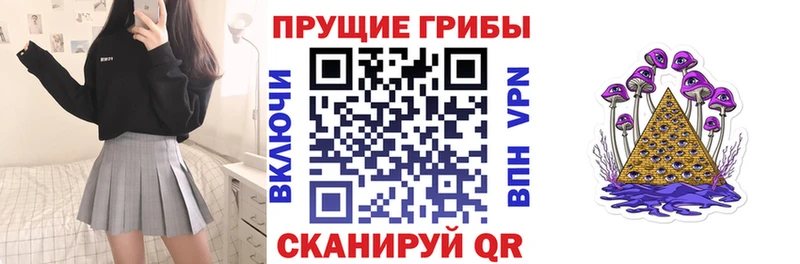 Псилоцибиновые грибы Psilocybine cubensis  Феодосия 